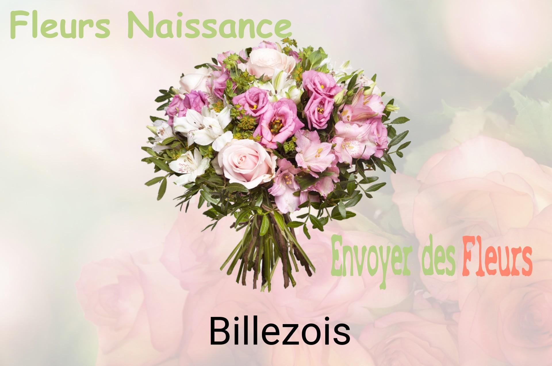 Bouquet de fleurs de naissance livré à Billezois